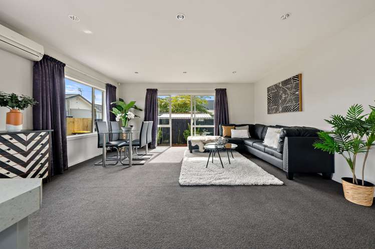 34a Scott Street Sydenham_7