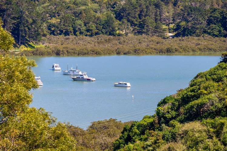 35 Oxford Street Whakapirau_34