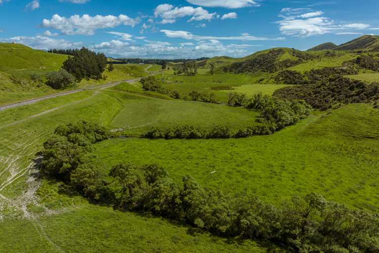 7797 State Highway 1 Ward_18