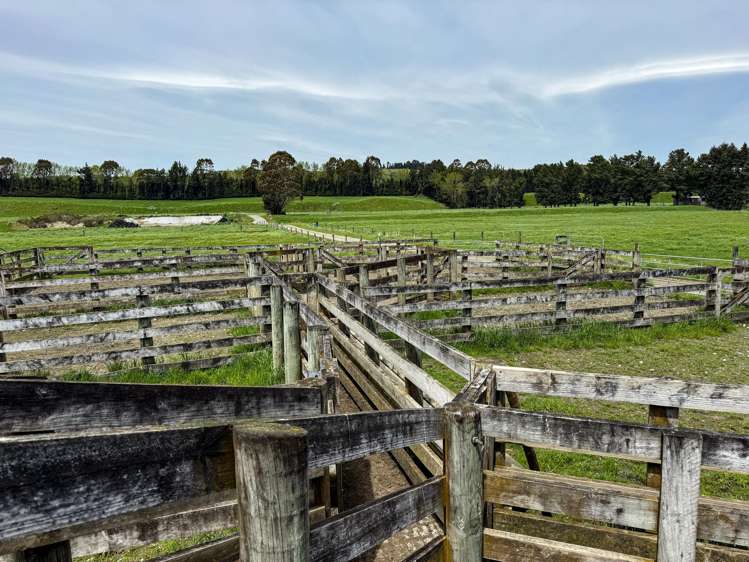 228 Te Anau-Mossburn Highway Te Anau & Surrounds_6