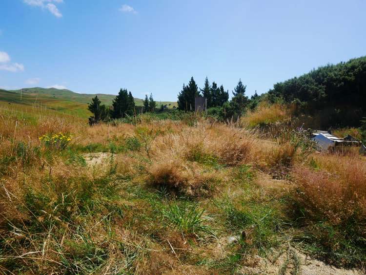 2705 Waikouaiti-Waitati Road Waikouaiti_15