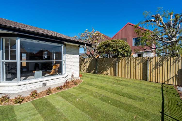 38 Young Street Somerfield_22