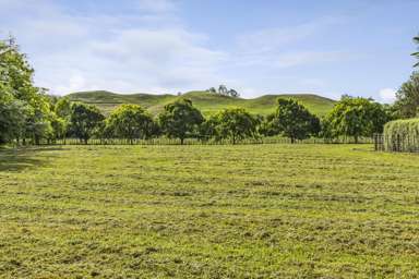 2/196 Flume Road, Cambridge_2