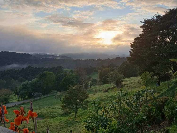 945 Springfield Road Springfield_27