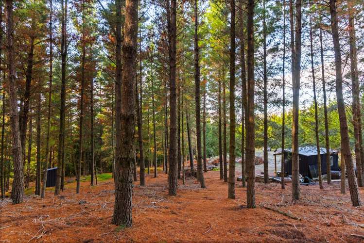 Lot 1 & 5 Ripponvale Road Cromwell_16