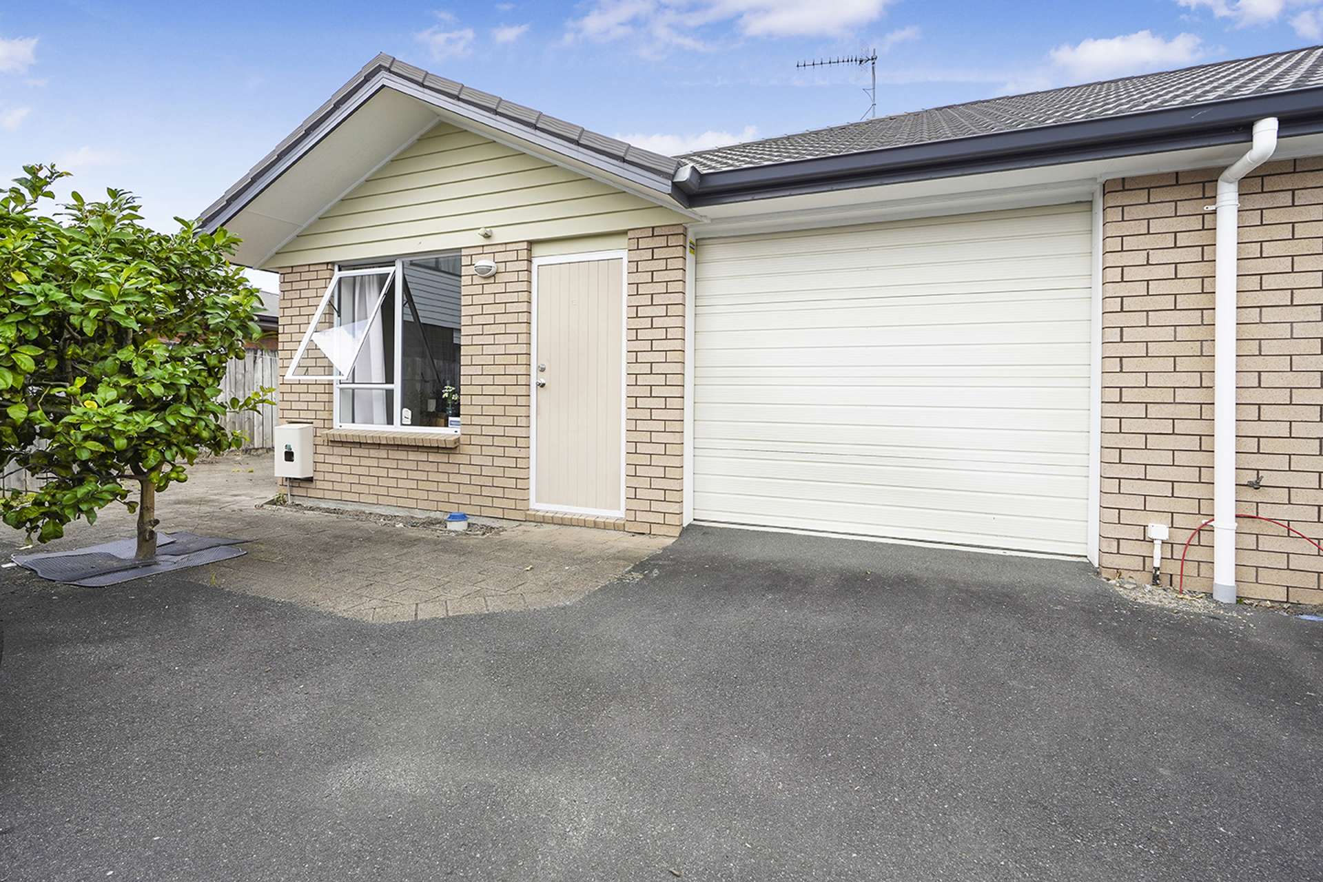 17e Campbell Street Frankton_0