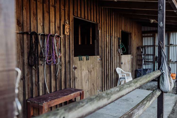 987 State Highway 6 Camerons_23