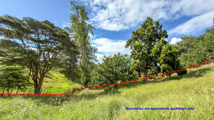 236 The Booms Avenue Thames_35