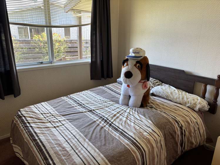 35 East Parkdale Street Tokoroa_10