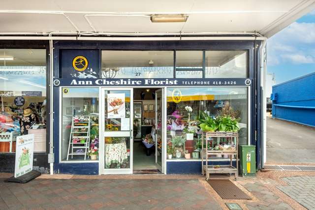 1 and 3/27 Mokoia Road Birkenhead_2