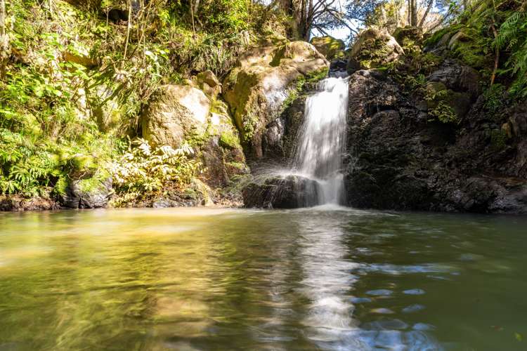 255 O'Carroll Road Maungakaramea_2