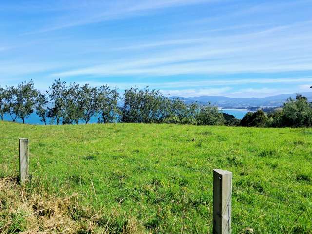 24 Kilgour Street Seacliff_4