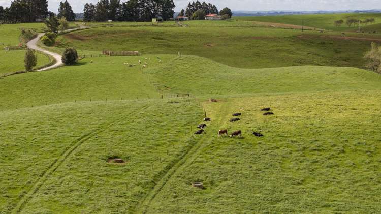 697 Maungatawhiri Road Raglan_24