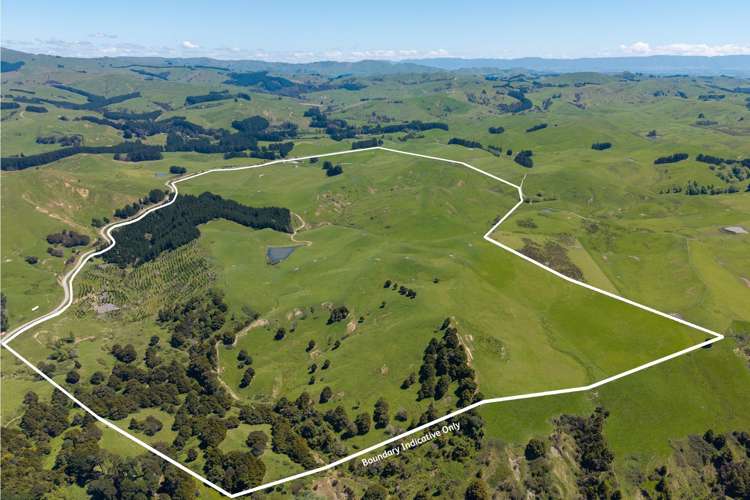 129 Speedy Road Dannevirke_7