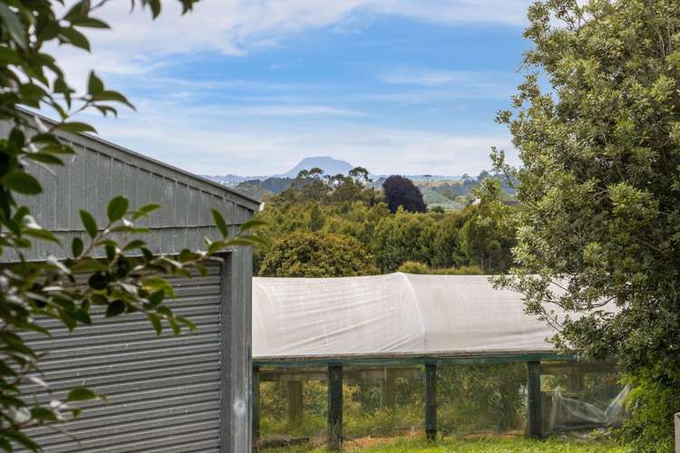 41 Walker Road Matata_21