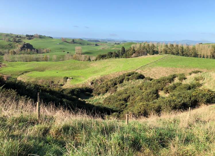 57 Earle Road Pukeatua_7