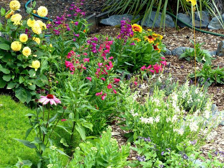 53 Kitewaho Road Swanson_103