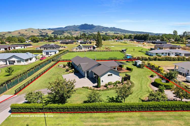 300 Inglefield Street Pirongia_19