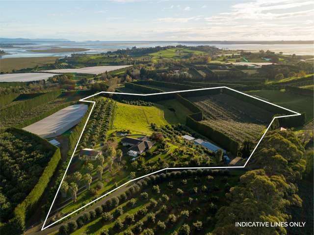 24c Pahoia Road Whakamarama_3