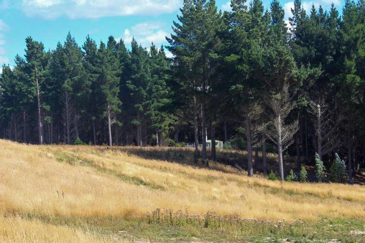 3/28 Shag Point Road Palmerston_10