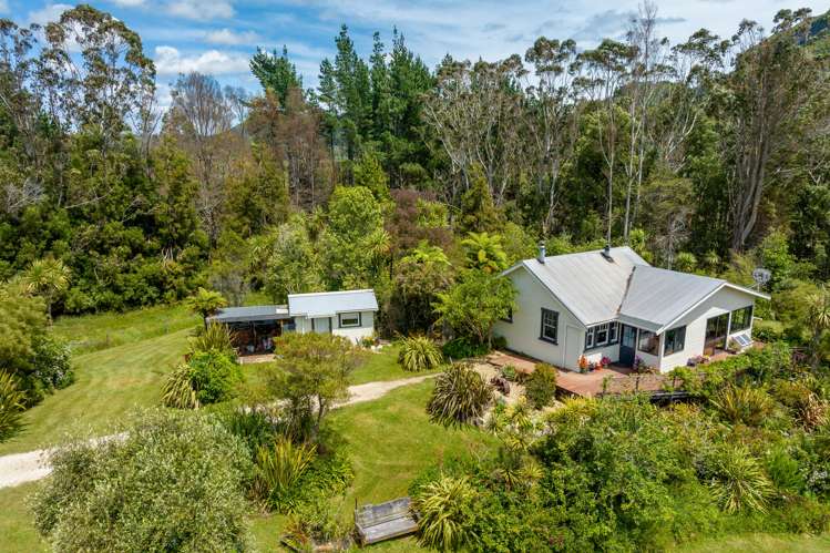 115 Snake Creek Road, Mangarakau_0