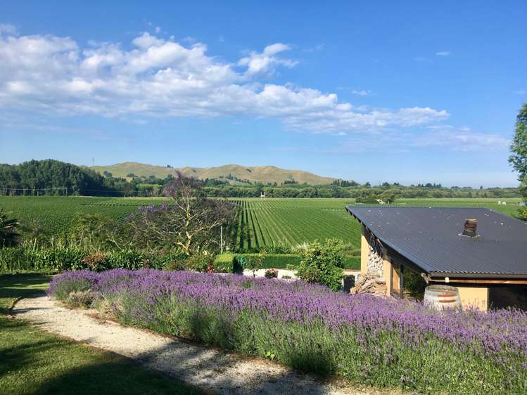 1 Breckenridge Lane Puketapu_24