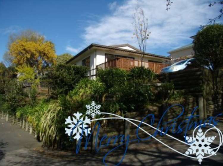 65d Mount Street Nelson South_0