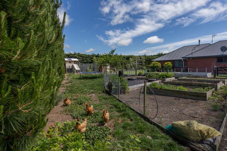 257 Weedons Ross Road Rolleston_18