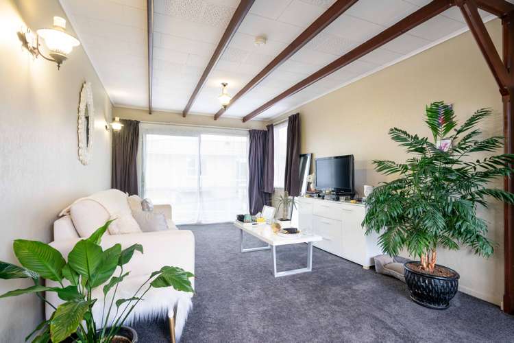 167b Bay View Road South Dunedin_2