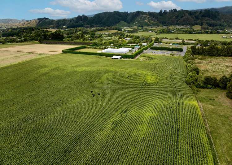 1200 State Highway 1 Manakau_12