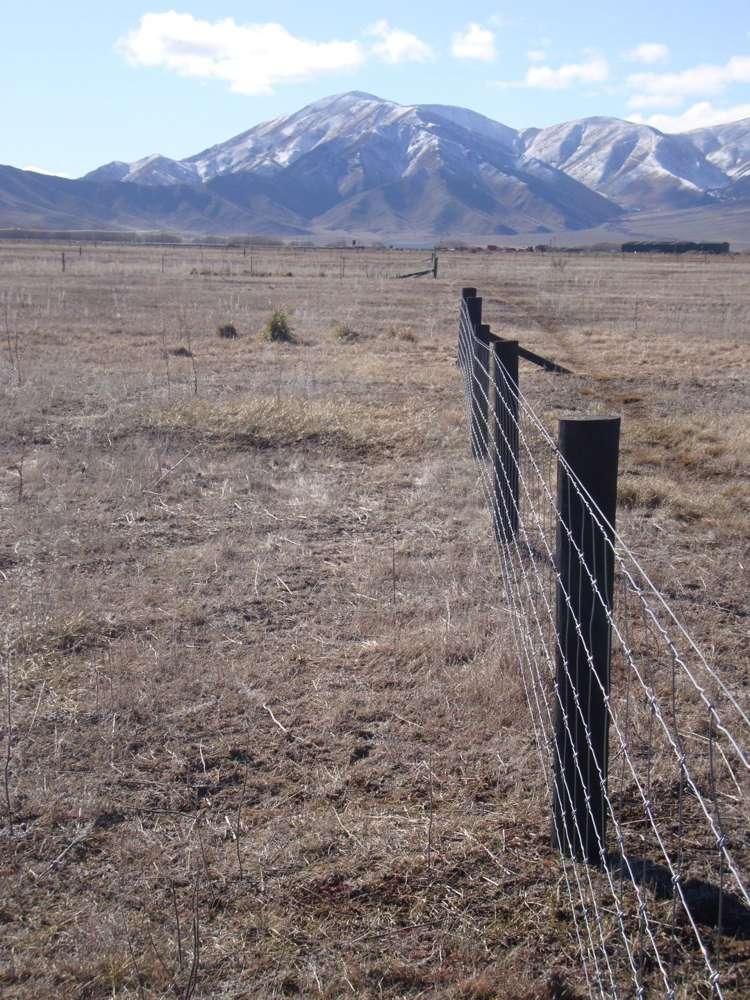 14 Hardacre Place Omarama_6