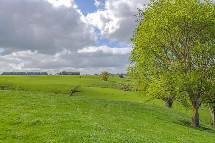 268 Wanganui Road Marton_21