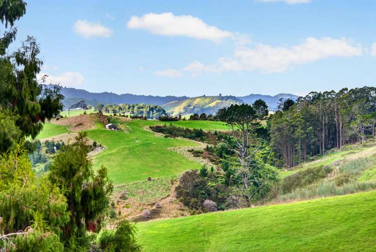 637 Paparata Road_3