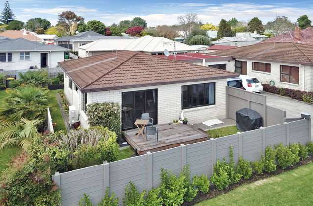 2a Princess Street Te Puke_1