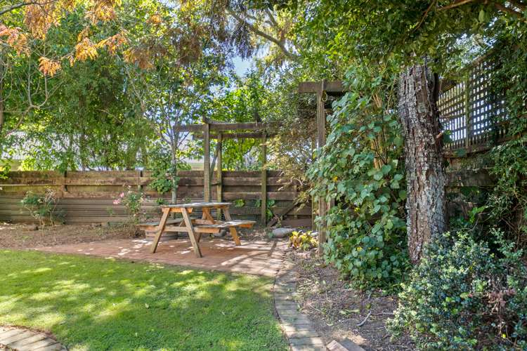 91 Manu Crescent Upper Vogeltown_27