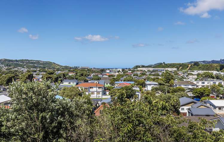 122 Tauhinu Road Miramar_15