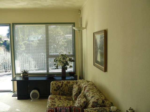 41 Gradara Avenue Otorohanga_1