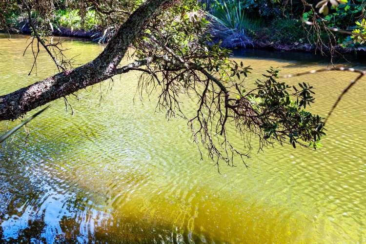 4 Wigmore Crescent Hahei_9