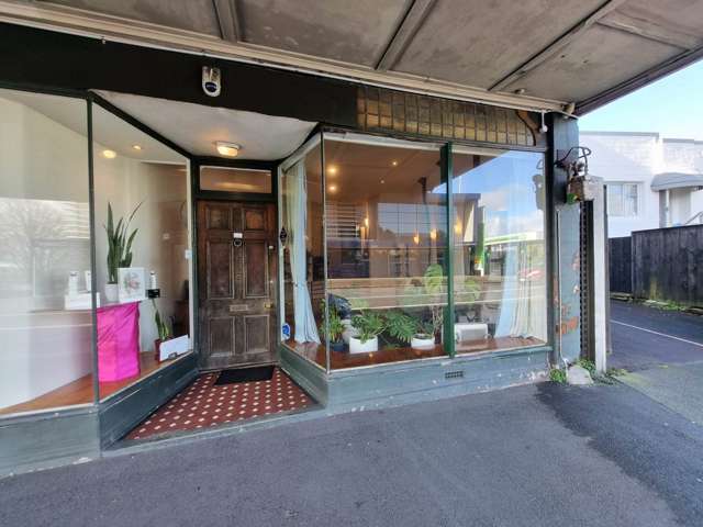 528 Manukau Road Epsom_2