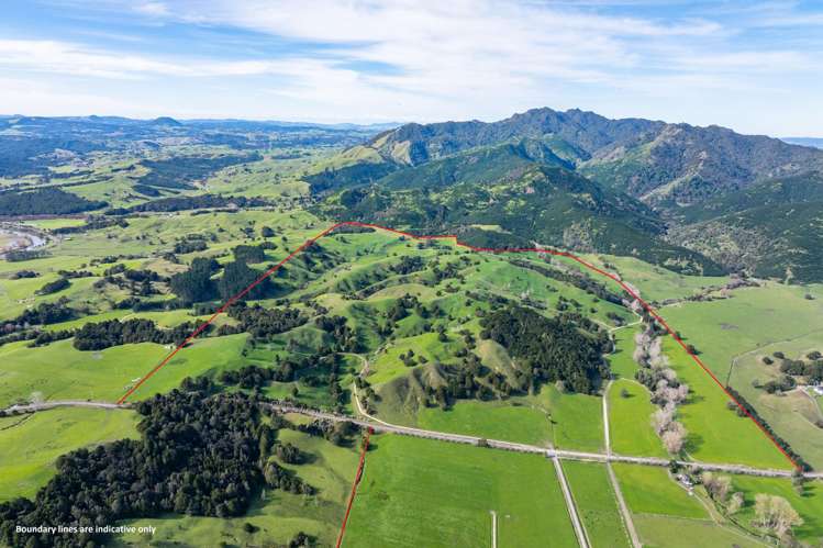 412 Pukehuia Road Tangiteroria_5