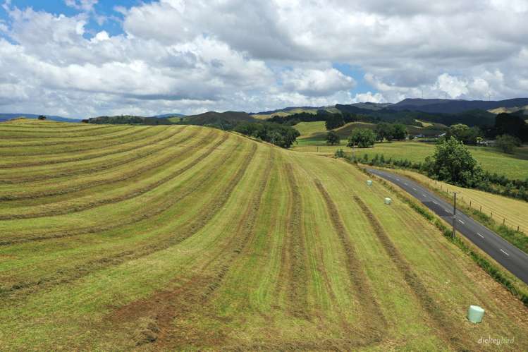 211 Waitetuna Valley Road Raglan_7