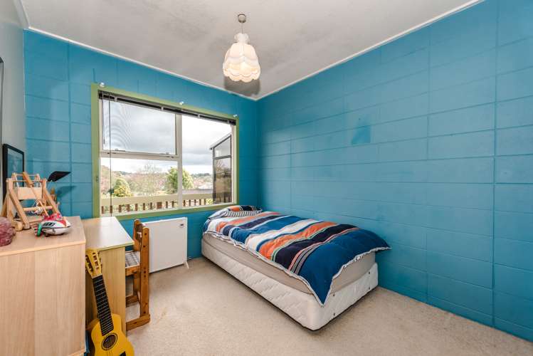 102 Poaka Avenue Dinsdale_7