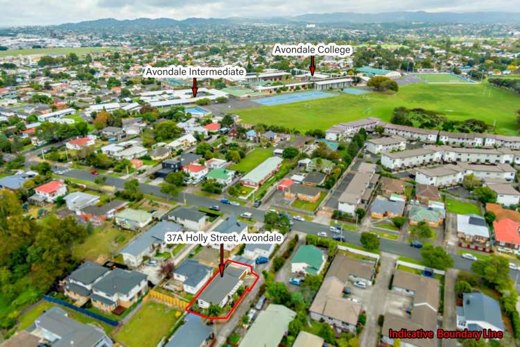 37A Holly Street Avondale_11
