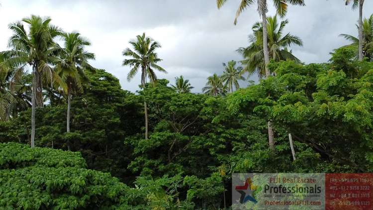 Address withheld Taveuni_14