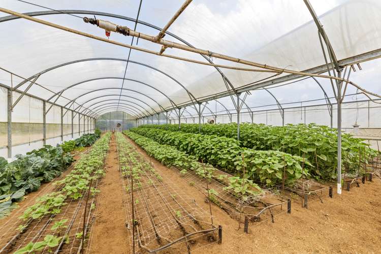 591 Turitea Road Otorohanga_26