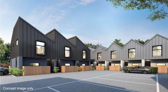 St Clair Development Site - Various Future Options