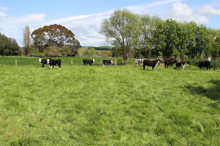 78 Waituna Road Pahiatua_6