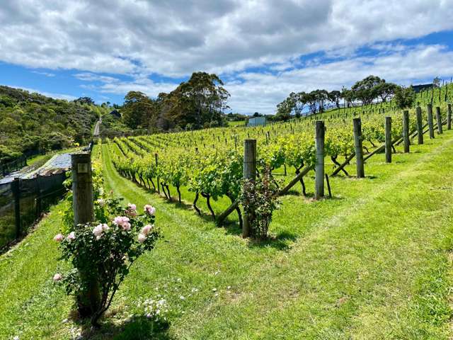 68b Korora Road Oneroa_3