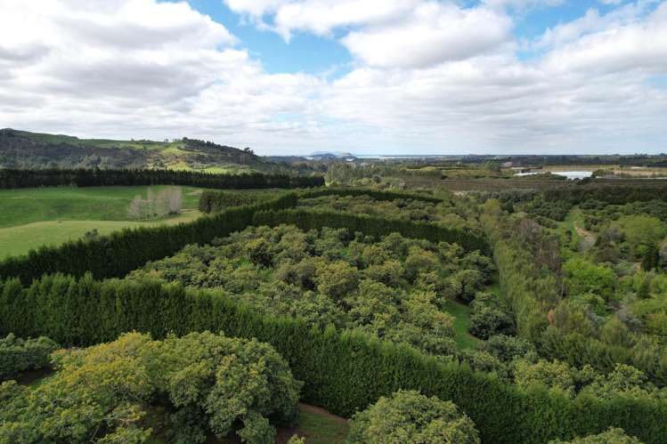 192 Woodland Road Katikati_10
