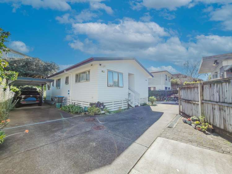 50 Ballarat Street Ellerslie_10